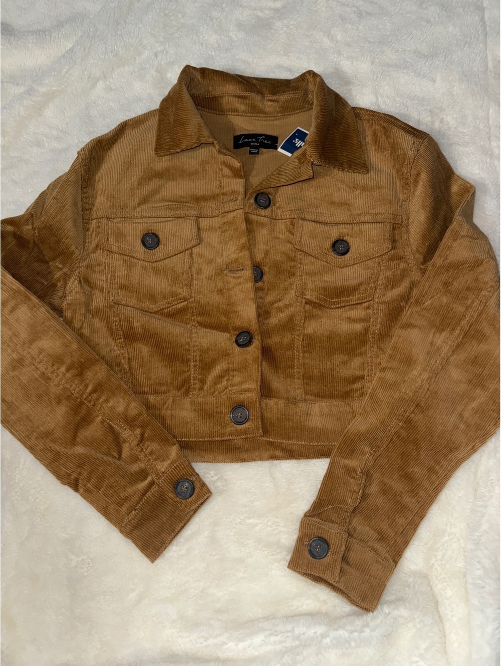 Love Tree Women's Small Brown Corduroy Cropped Jacket